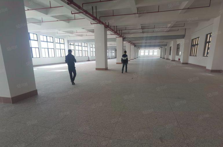 6块镇隆厂房出租全新红本原房东厂房独栋独院厂房1000平起租