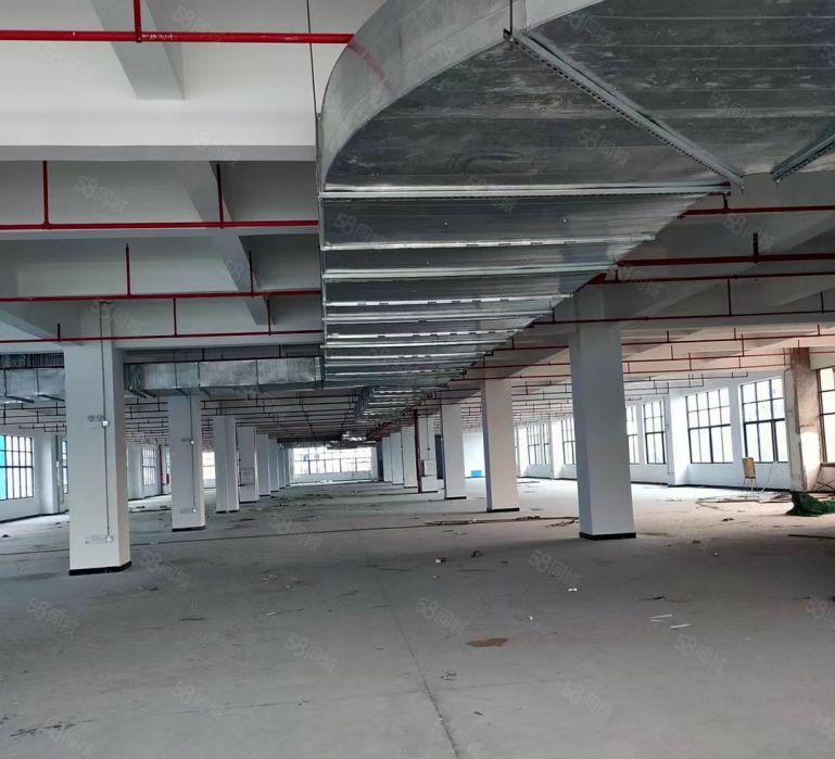 （合同可以签15年）惠阳临深原房东全新花园式厂房招租