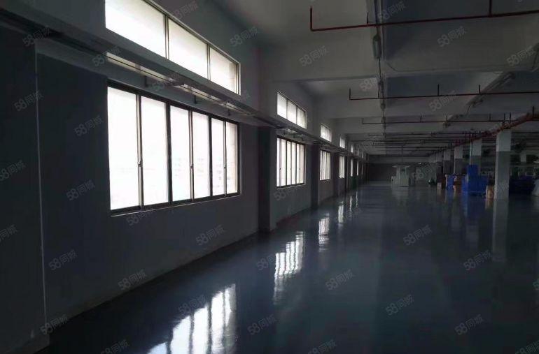 惠嘉科技园原业主厂房招租