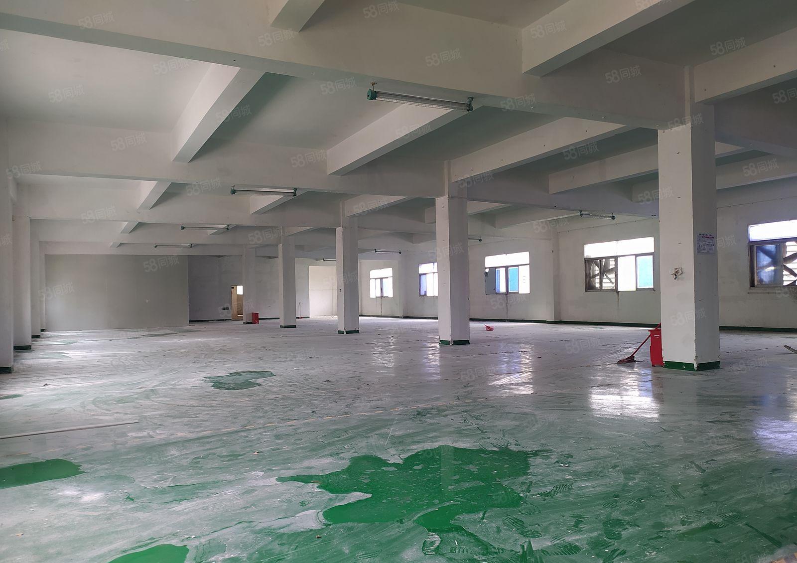 惠州惠阳新圩独门独院厂房出租5000平大小分租带装修好进车