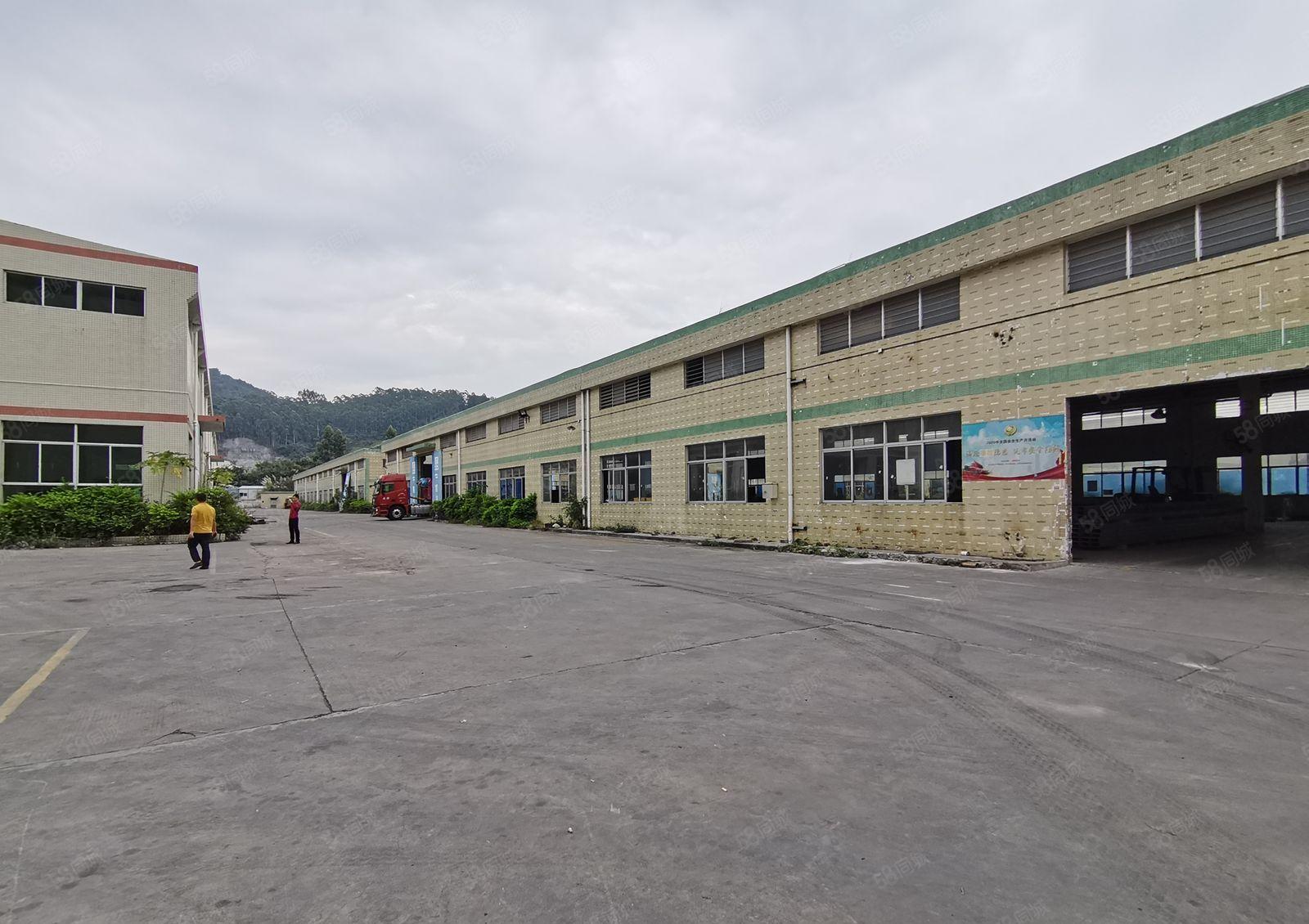 惠阳新圩独门独院钢构2000平方出租高8米