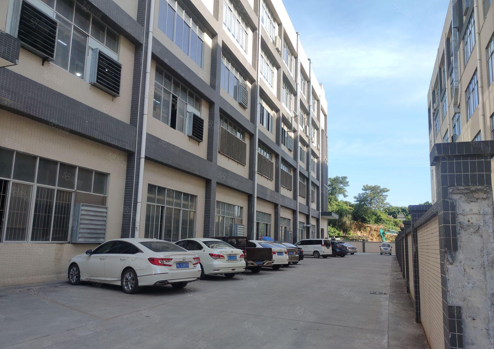 原房东厂房8元起镇隆工业园2百5百1千2千仓库厂房低价出租，