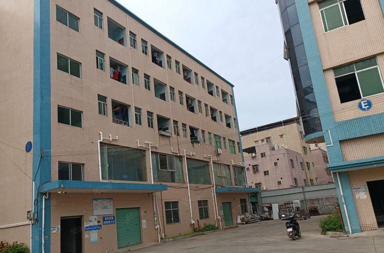 惠阳镇隆205国道边原房东红本钢结构厂房1400平方米