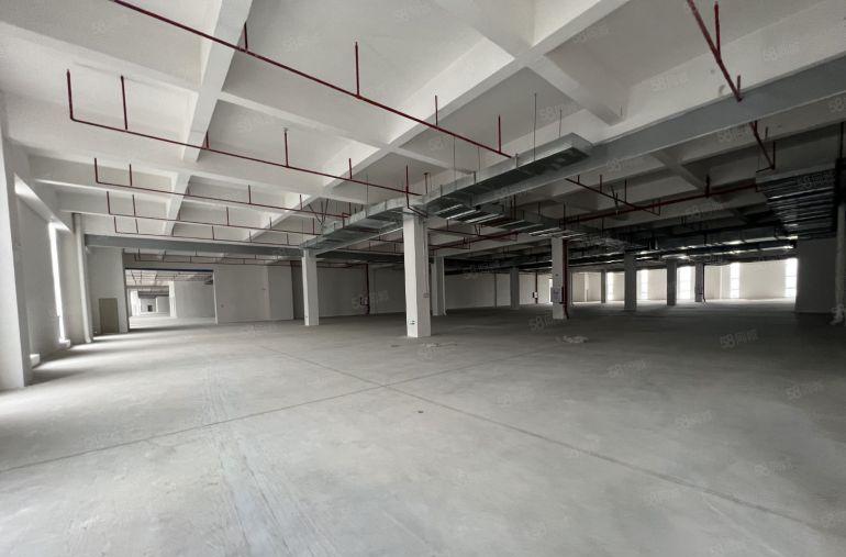 新圩镇中心全新厂房5000平米一层空地大可做仓库生产分租