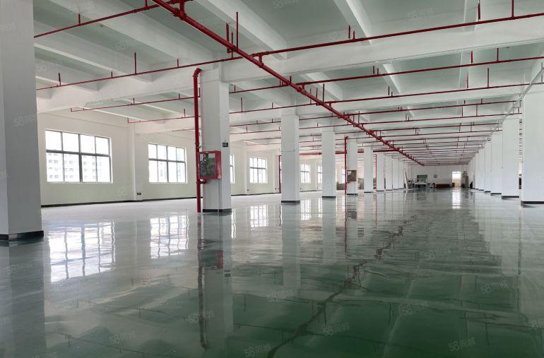 9块！镇隆原房东2000平厂房仓库低价出租 零公摊  可分租