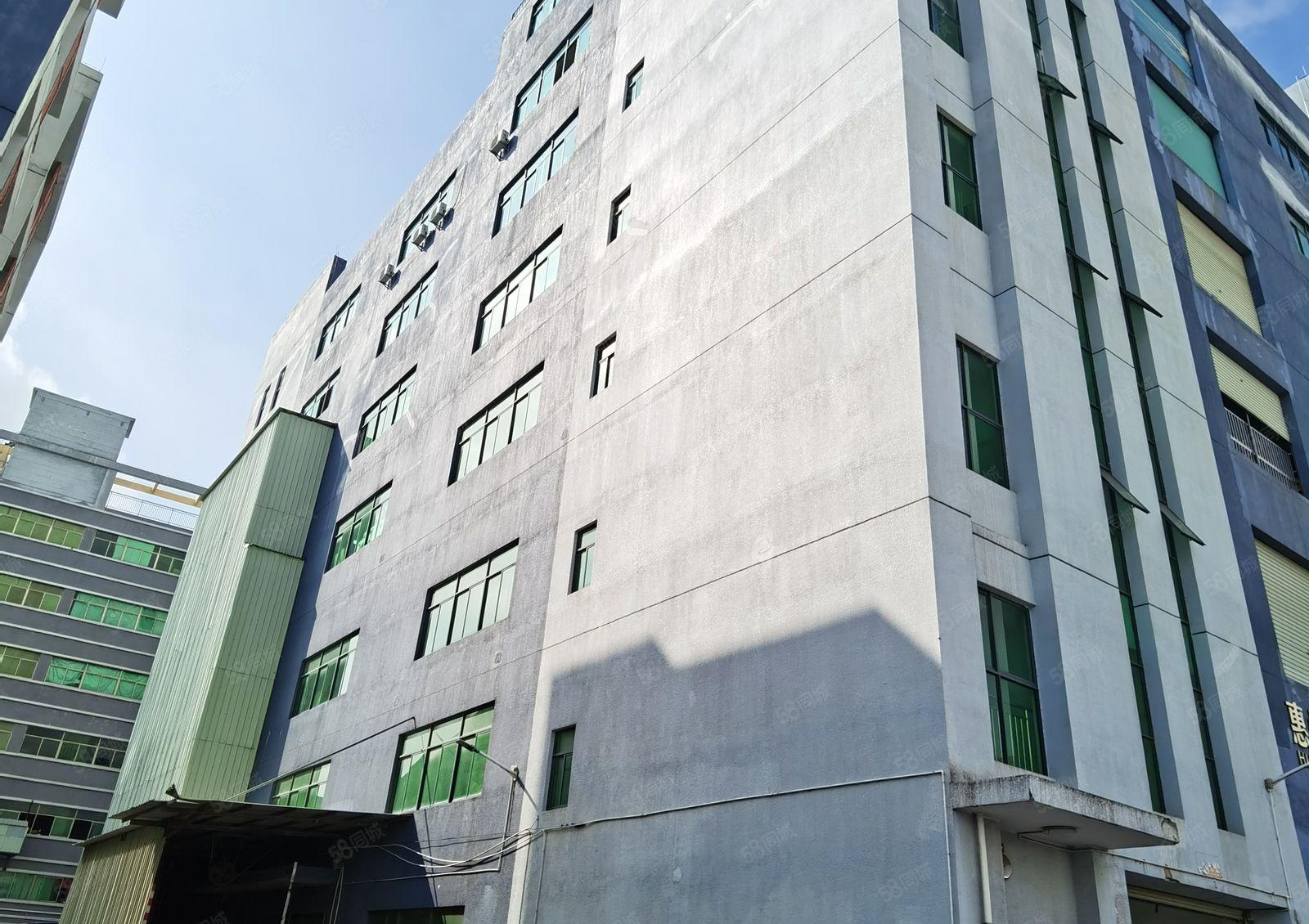 惠阳区沙田镇新空出标准厂房一栋6层滴水八米高12000平出租