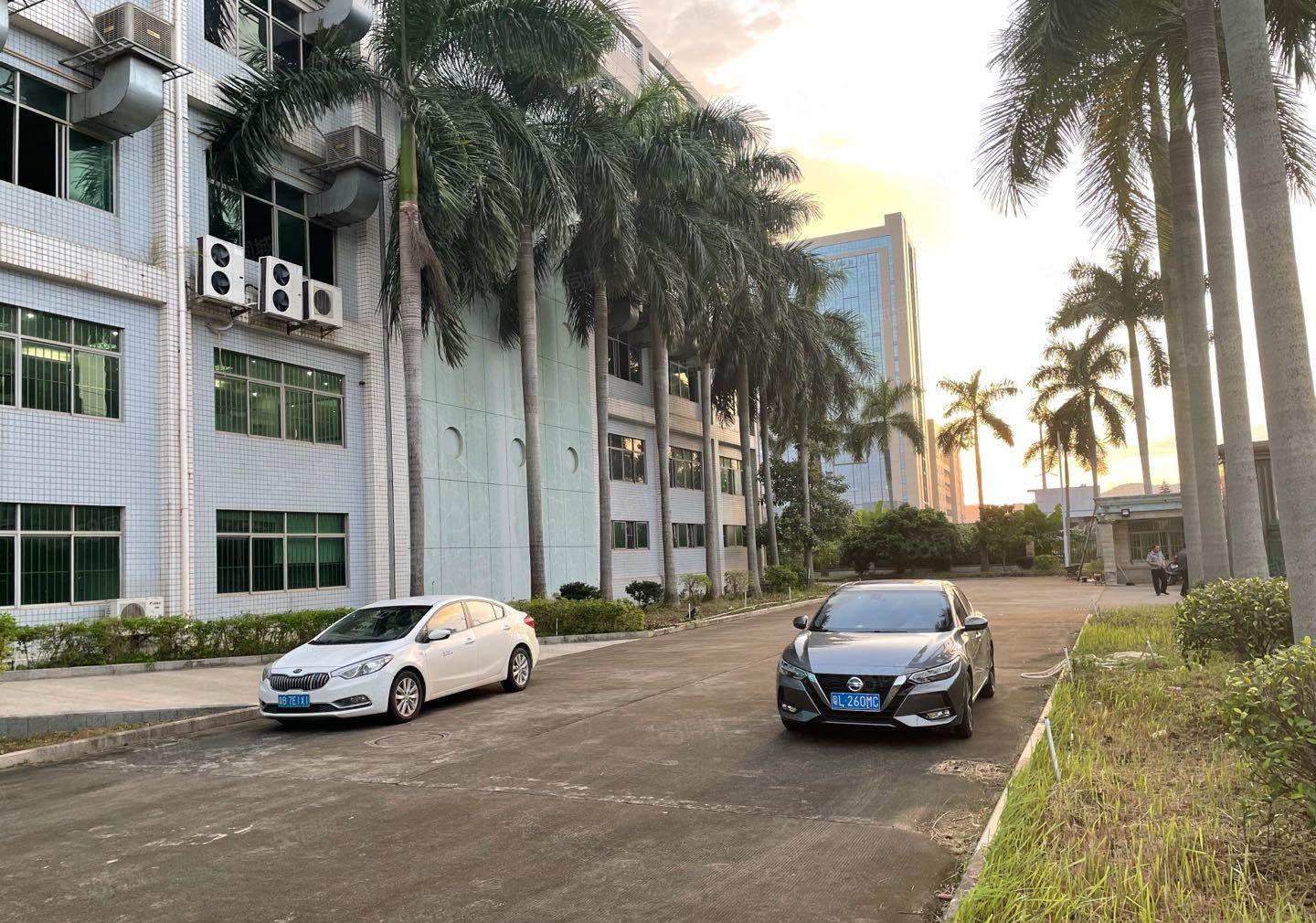 惠阳秋长茶园新出标准独院27000平红本厂房500平起分