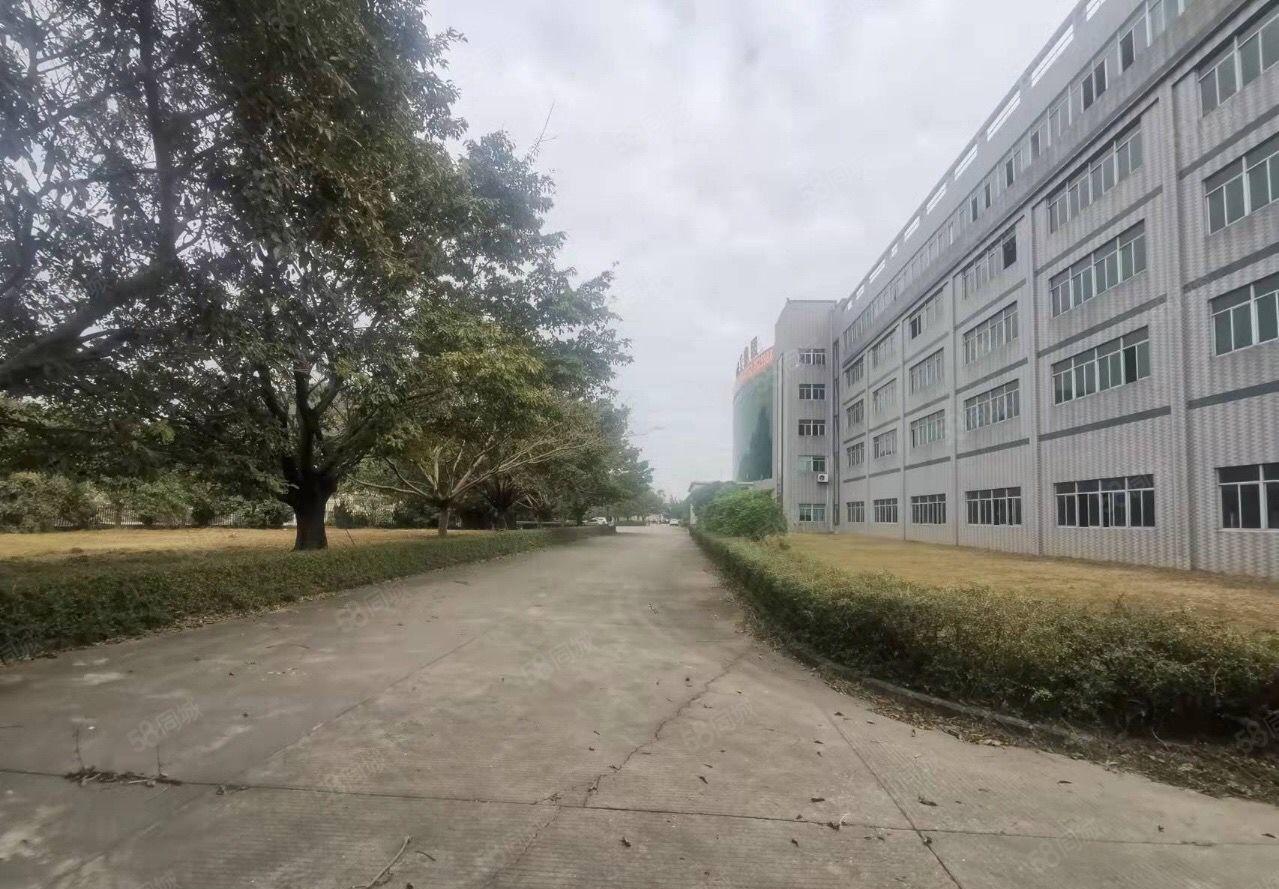 惠阳新圩原房东工业园占地六万平厂房独栋五层30000出租
