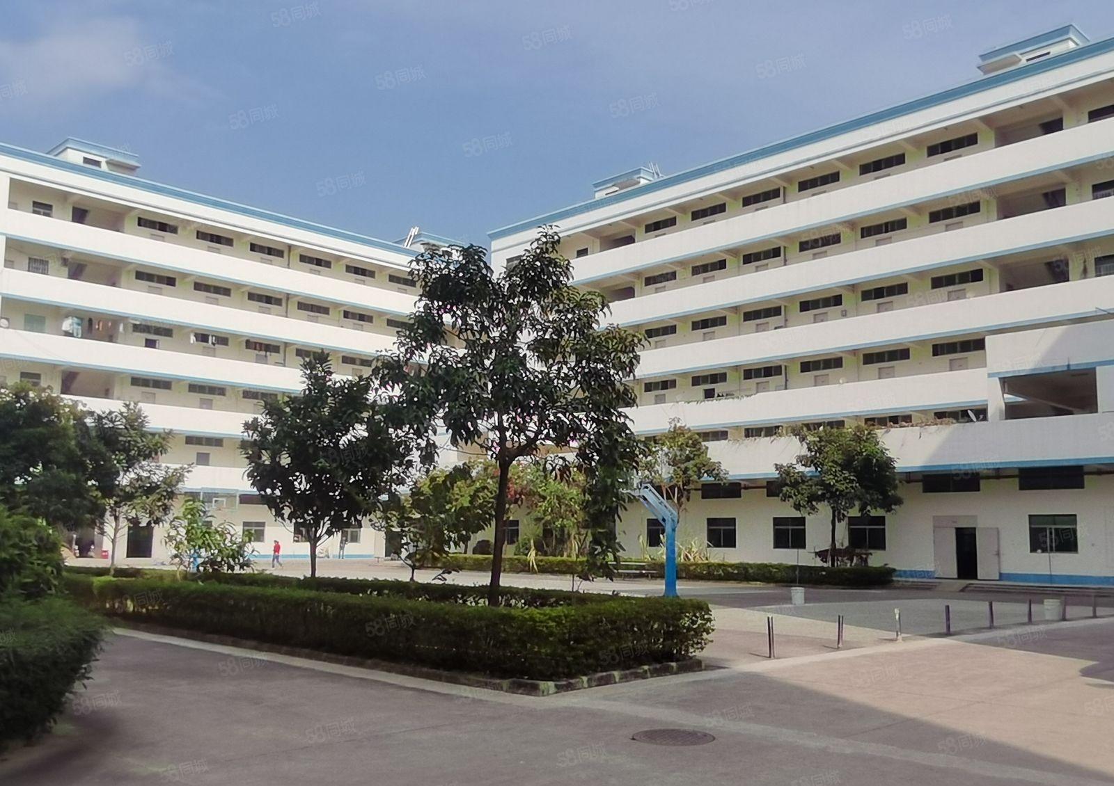 秋长 原房东 一楼1600平 现成行车装修办公室 可办环评