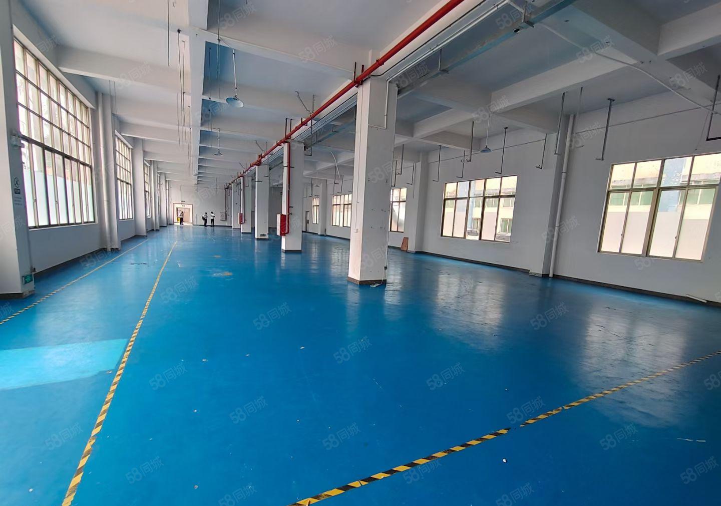 惠阳秋长将军路口新出低价村委厂房1500平可做除排水外行业