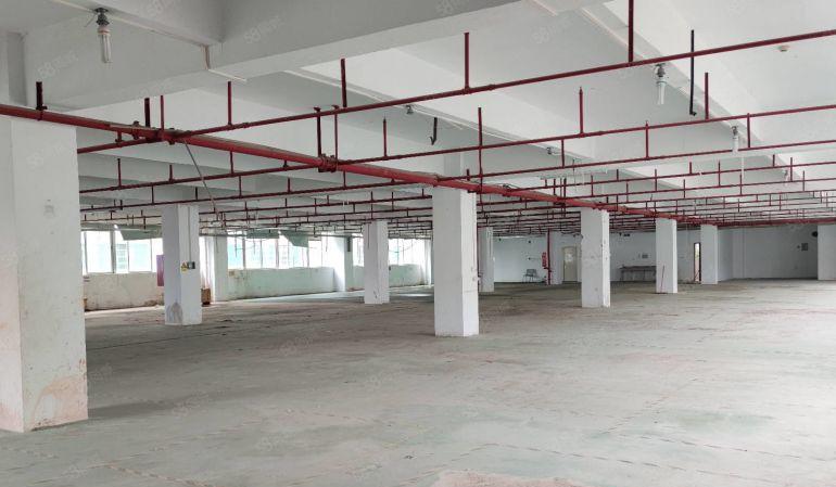 惠阳新墟工业园2000平独门独院楼上厂房仓库低价出租空地大