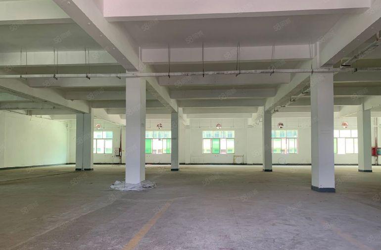 惠阳三和厂房出租劲爆价给钱就租