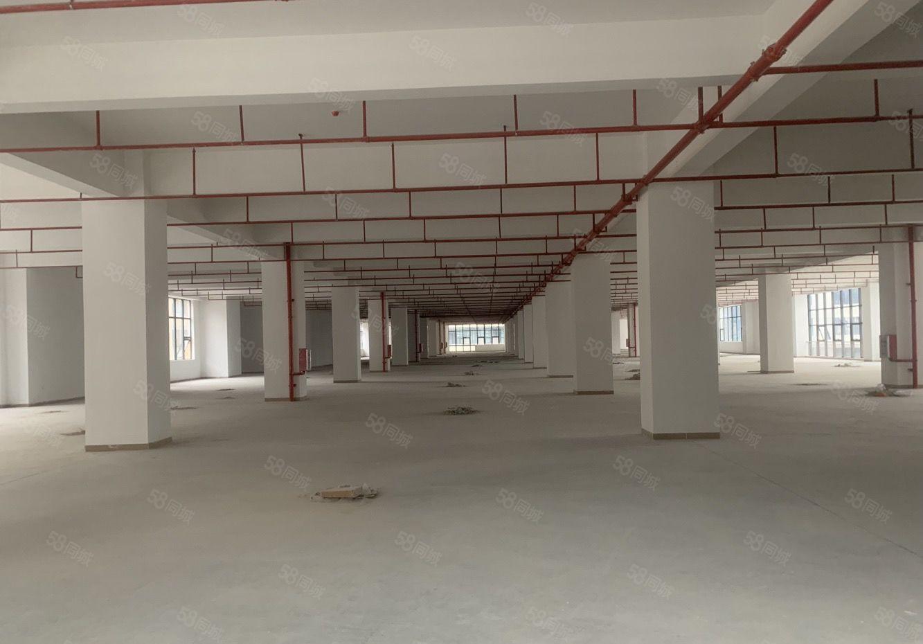 惠阳邻深片区原房东新建高薪产业园招租价格实在无公摊