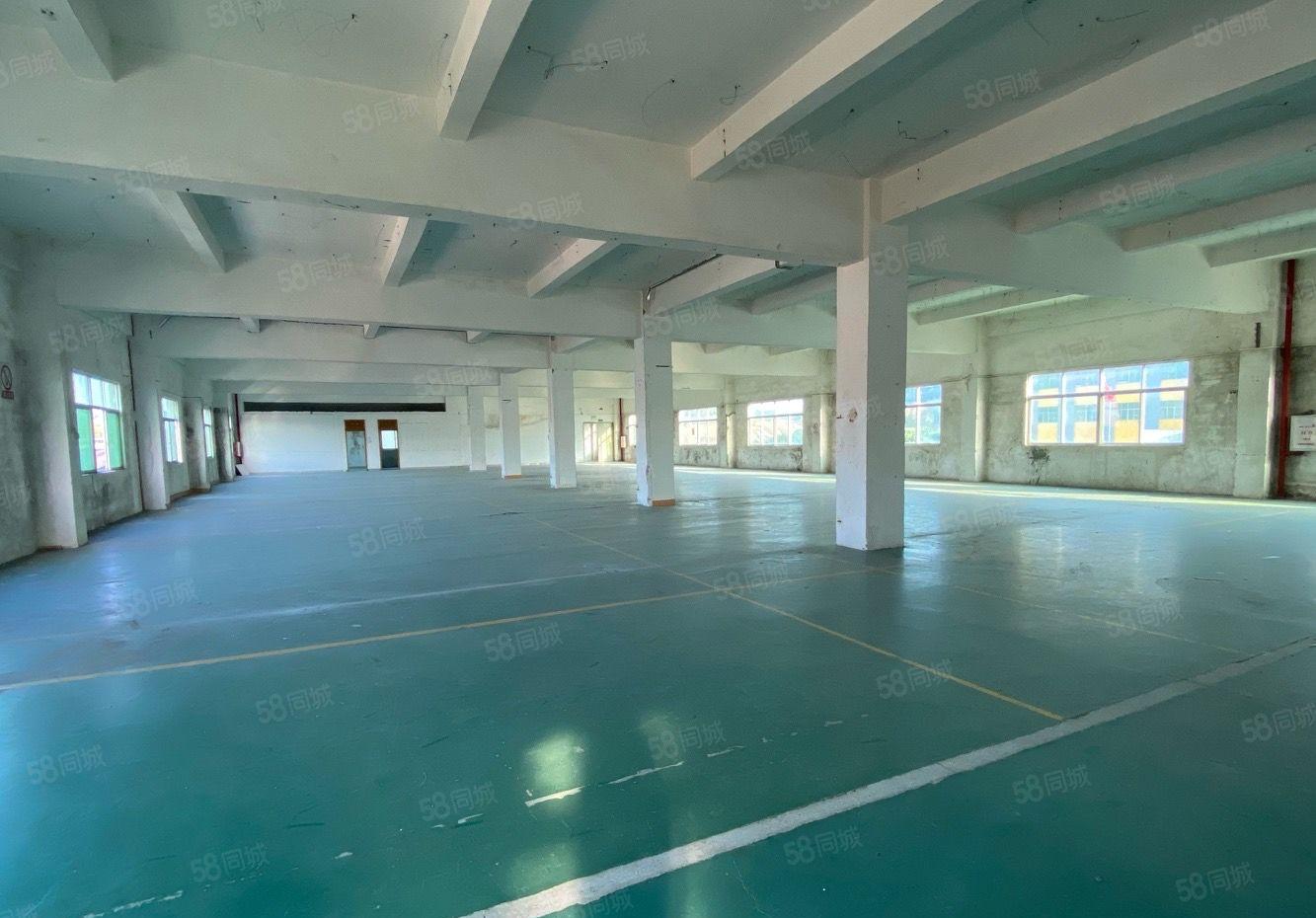 镇隆长龙工业区500平厂房出租