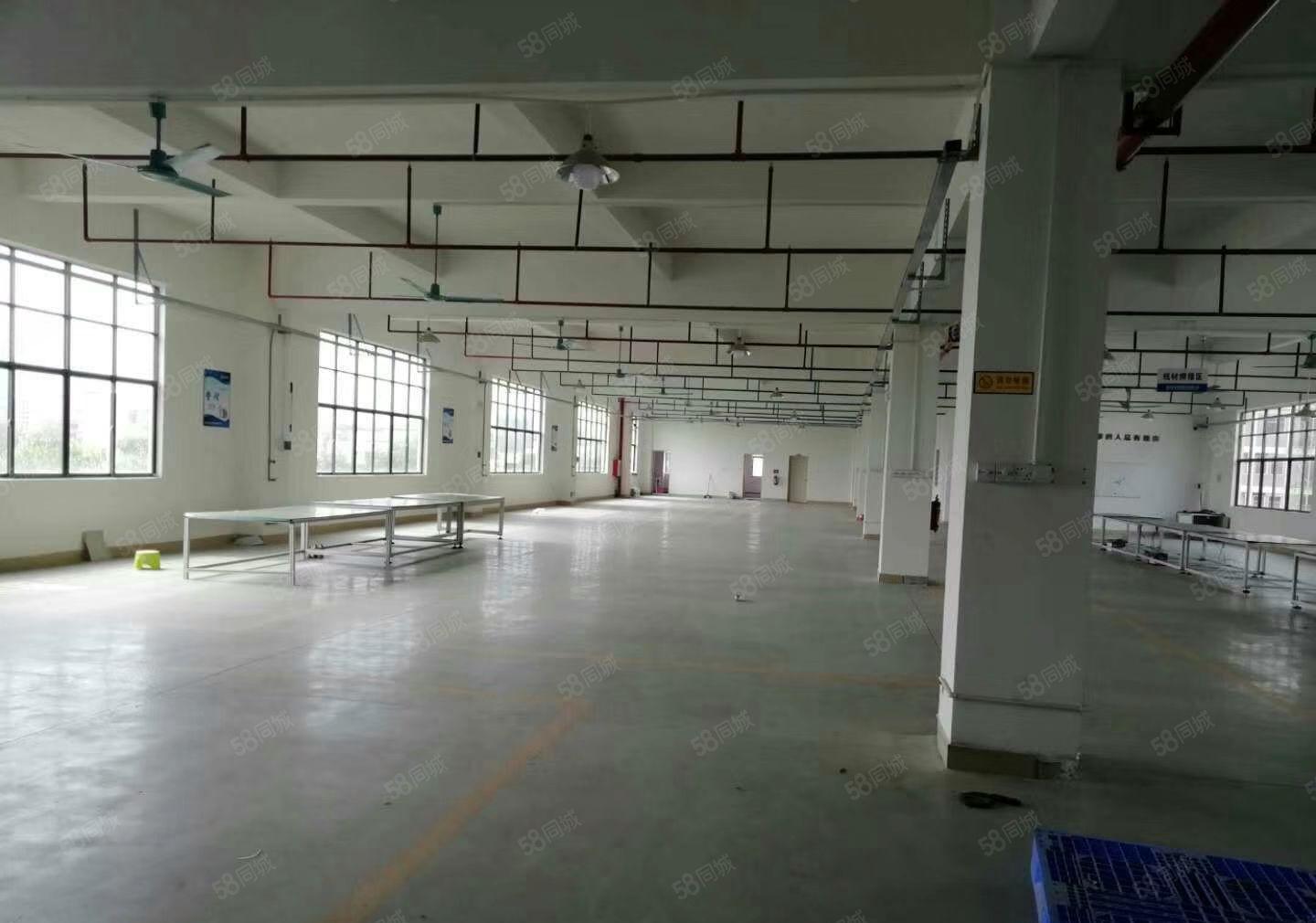 花园式厂房招租（整栋6000平米15000平米，可分租）