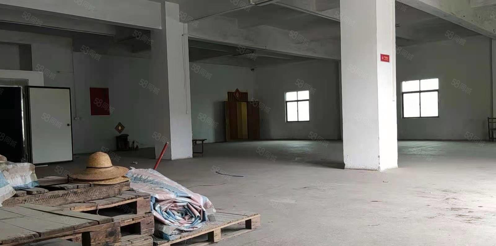 惠阳三和新出小独院厂房招租，大小可分