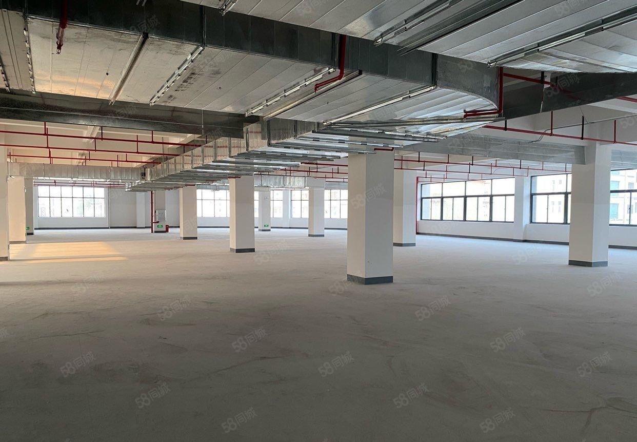 平南全新厂房出租，有宿舍配套。高速附近交通方便