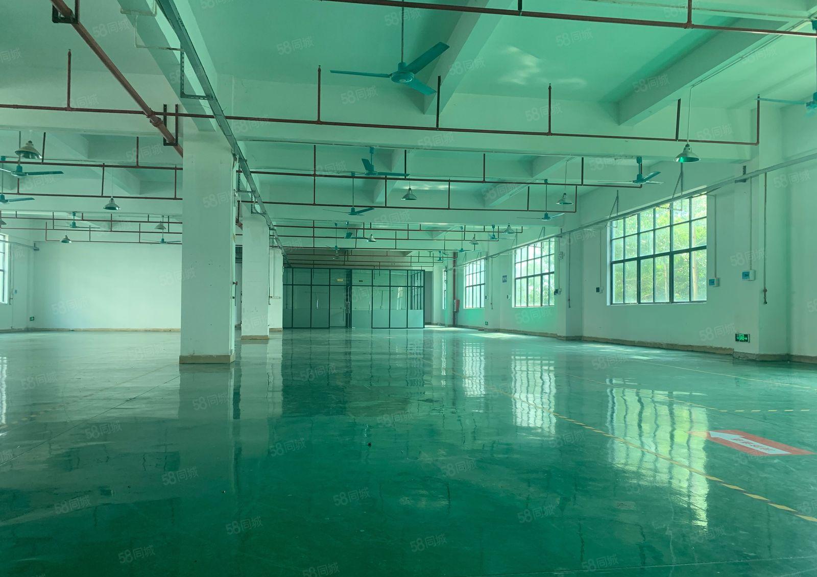 (形象好)惠阳沙田科技园厂房二楼1300平带装修办公室地坪漆