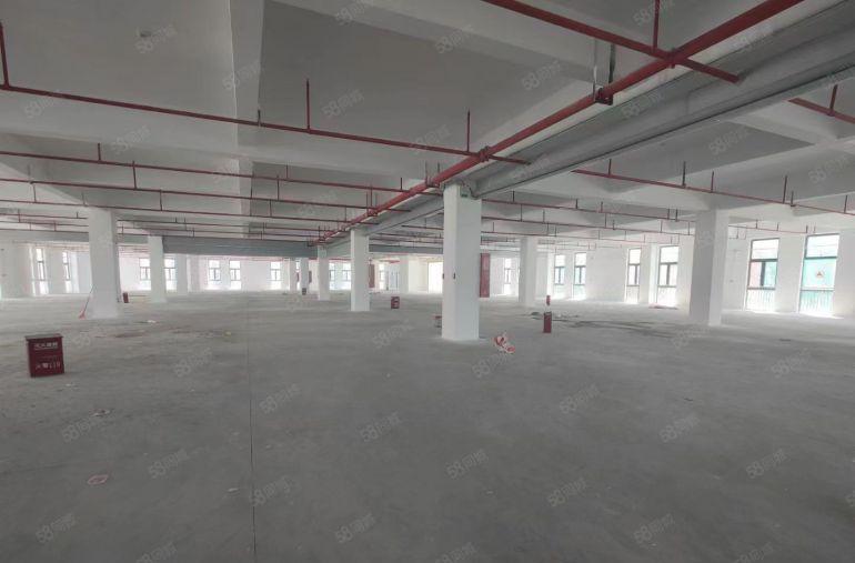 惠阳临深红本厂房，无套路无公摊开发商直租，好招工，配套齐