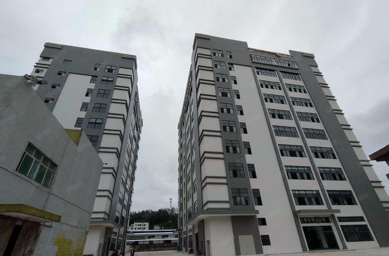 临深惠阳新圩镇全新厂房五万平单层1200平1800平10块起