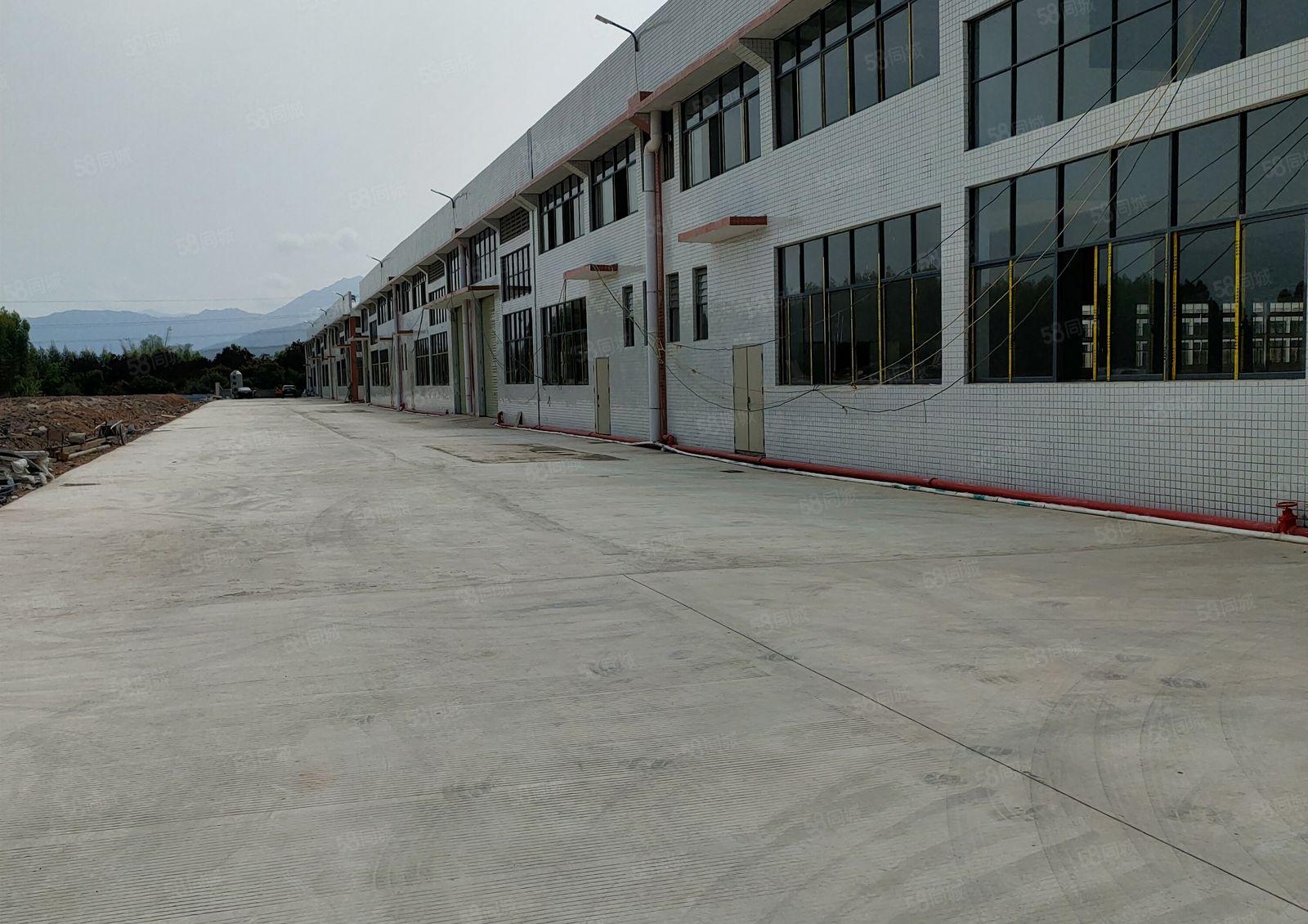 20000平方全新钢结构厂房出租（可分租）