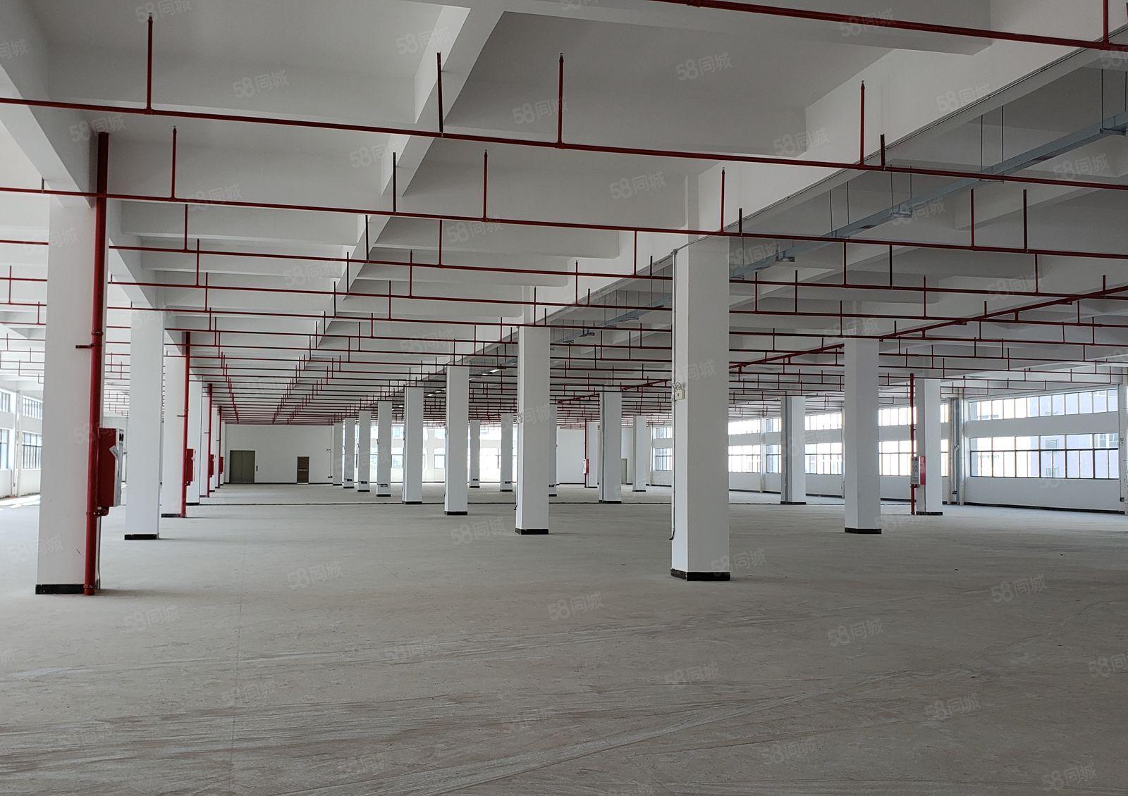 5百1千3千平起租惠阳沙田8万平原房东厂房仓库出租证件齐全