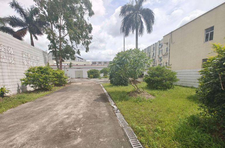 东风独门独院1600平钢构厂房1000硬化空地