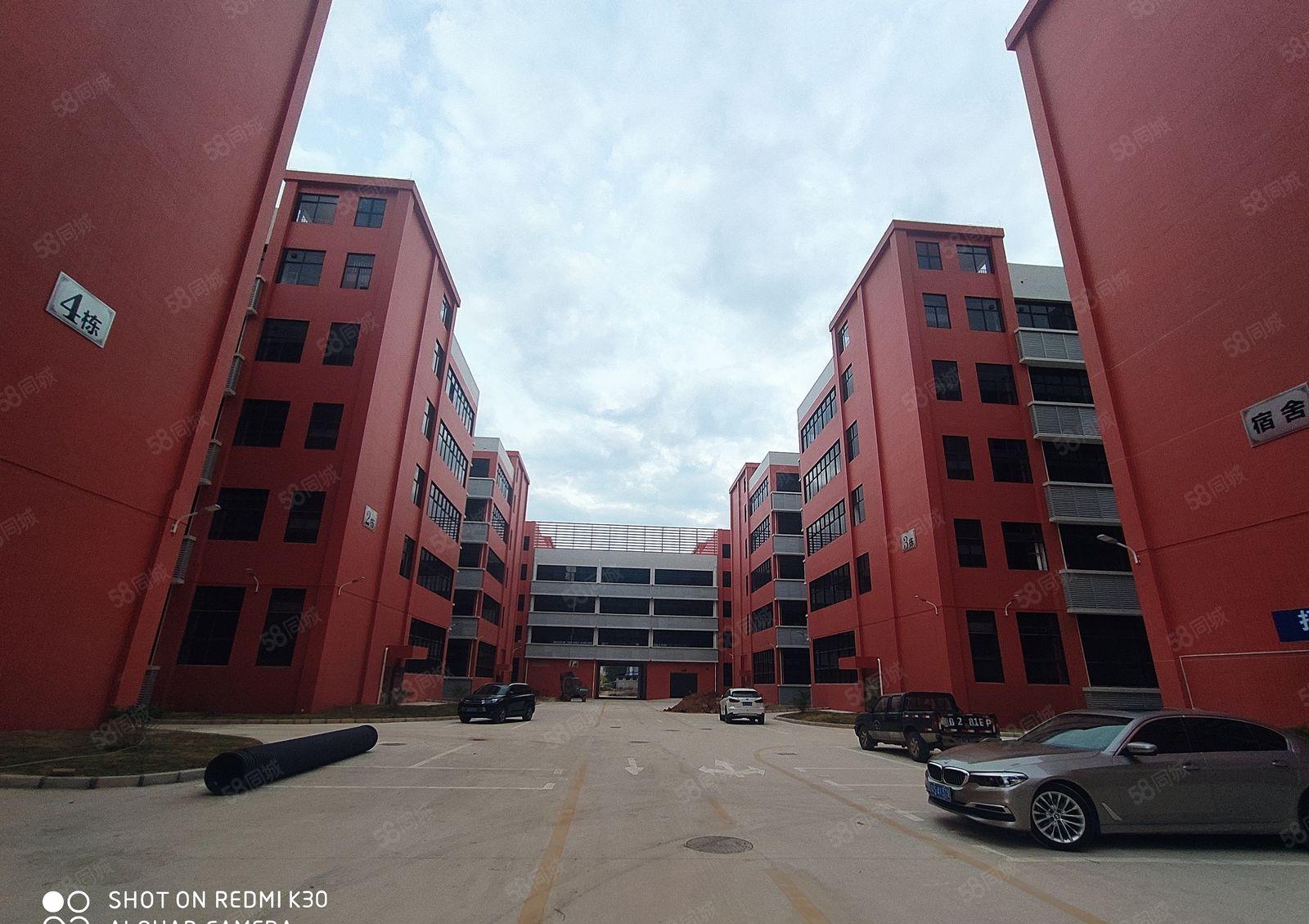 全新厂房招租，年底租金便宜出租，现成消防喷淋