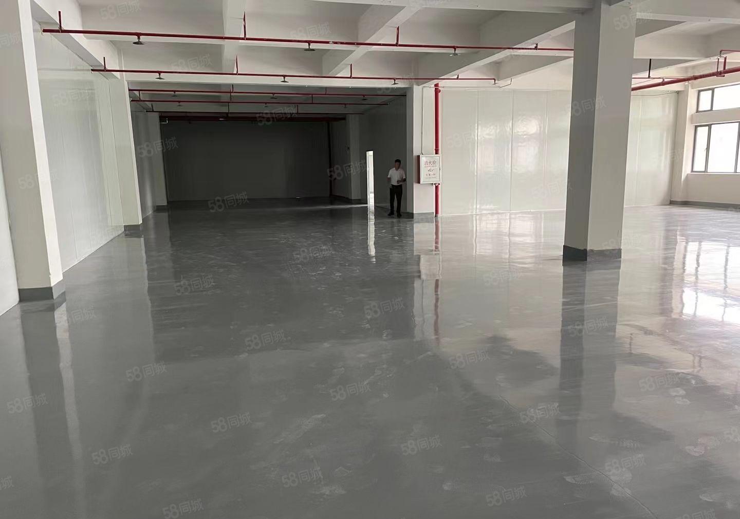 大亚湾全新厂房大小可分租