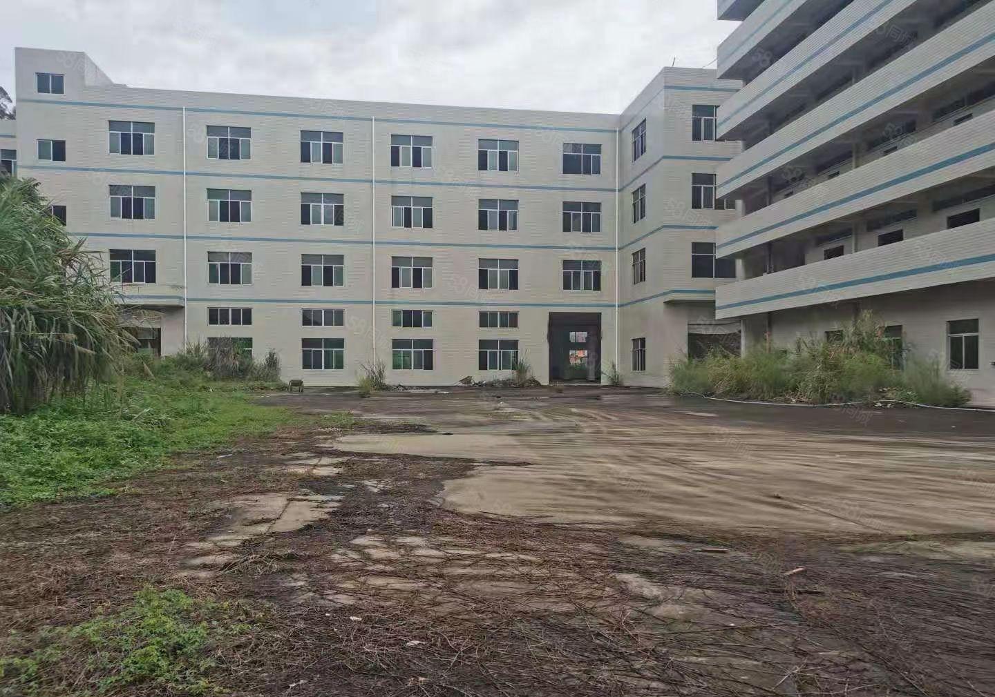 大亚湾塘布村新出独门独院标准厂房9500平出租可分租。