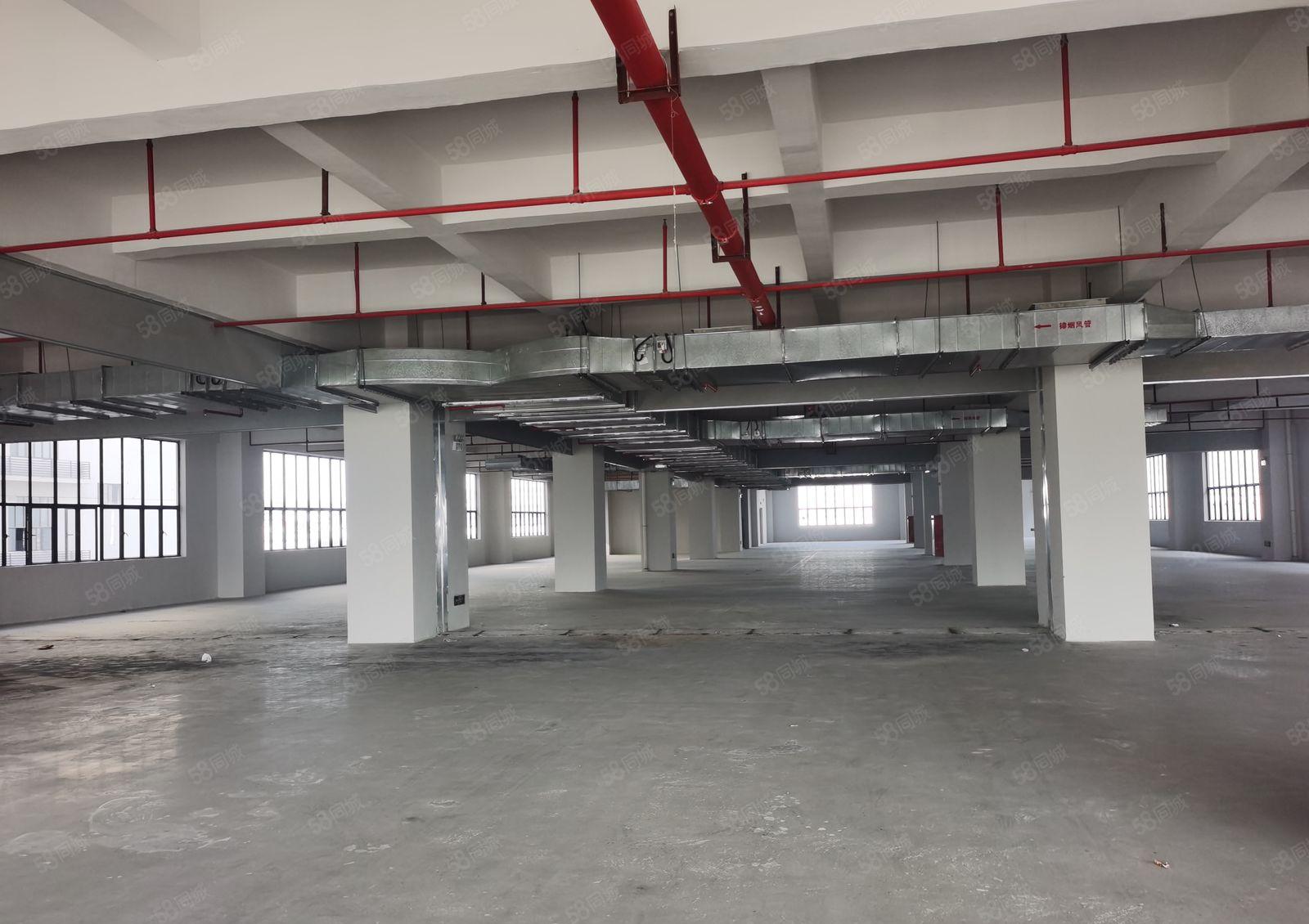 惠州大亚湾龙山工业园一楼1000平方厂房仓库出租大小可分租