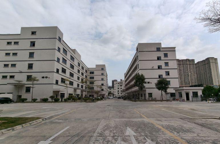 大亚湾龙光城原房东12000平方红本厂房仓库出租可分租