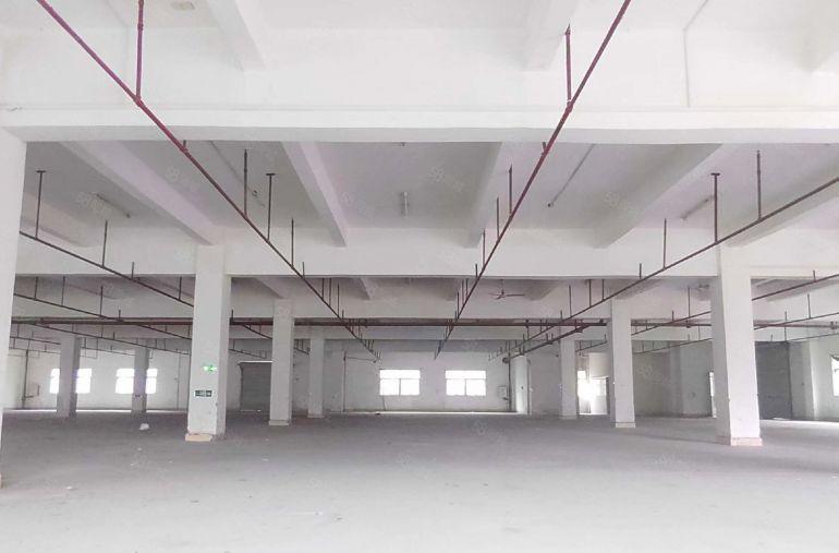 12块大亚湾西区厂房出租楼上3000平500起可分租主干道旁