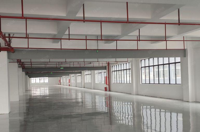 10块，大亚湾全新2000平标准厂房仓库出租，带地坪漆可分租