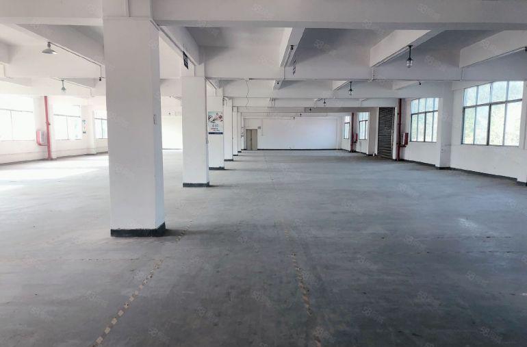 大亚湾西区800平1200平原房东 厂房仓库出租 可分租