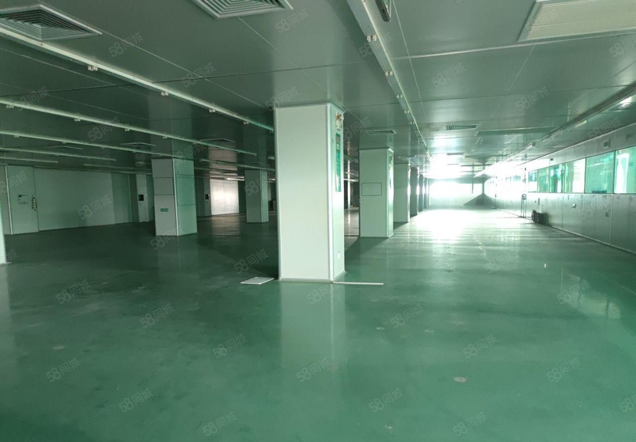 (带装修)大亚湾科技园工业园厂房1000平可分租形象好