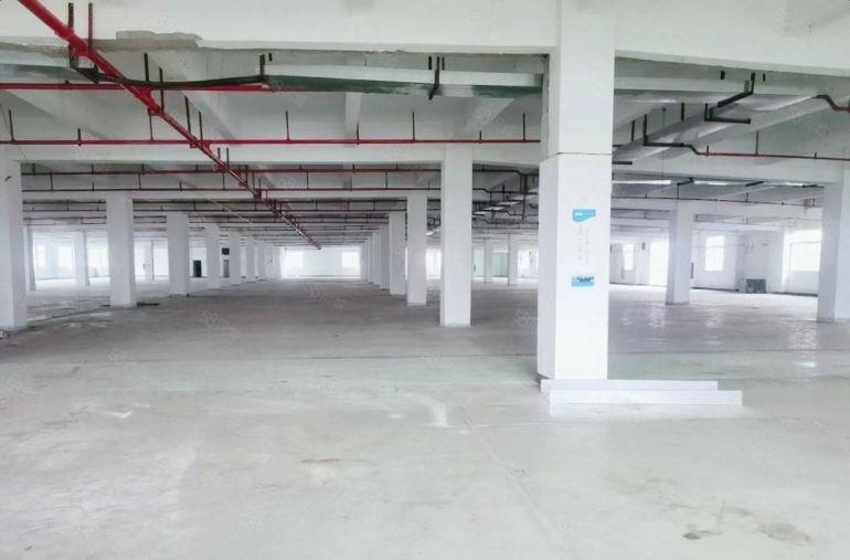 临深大亚湾 原房东 厂房平出租1000平起租 无公摊低价出租