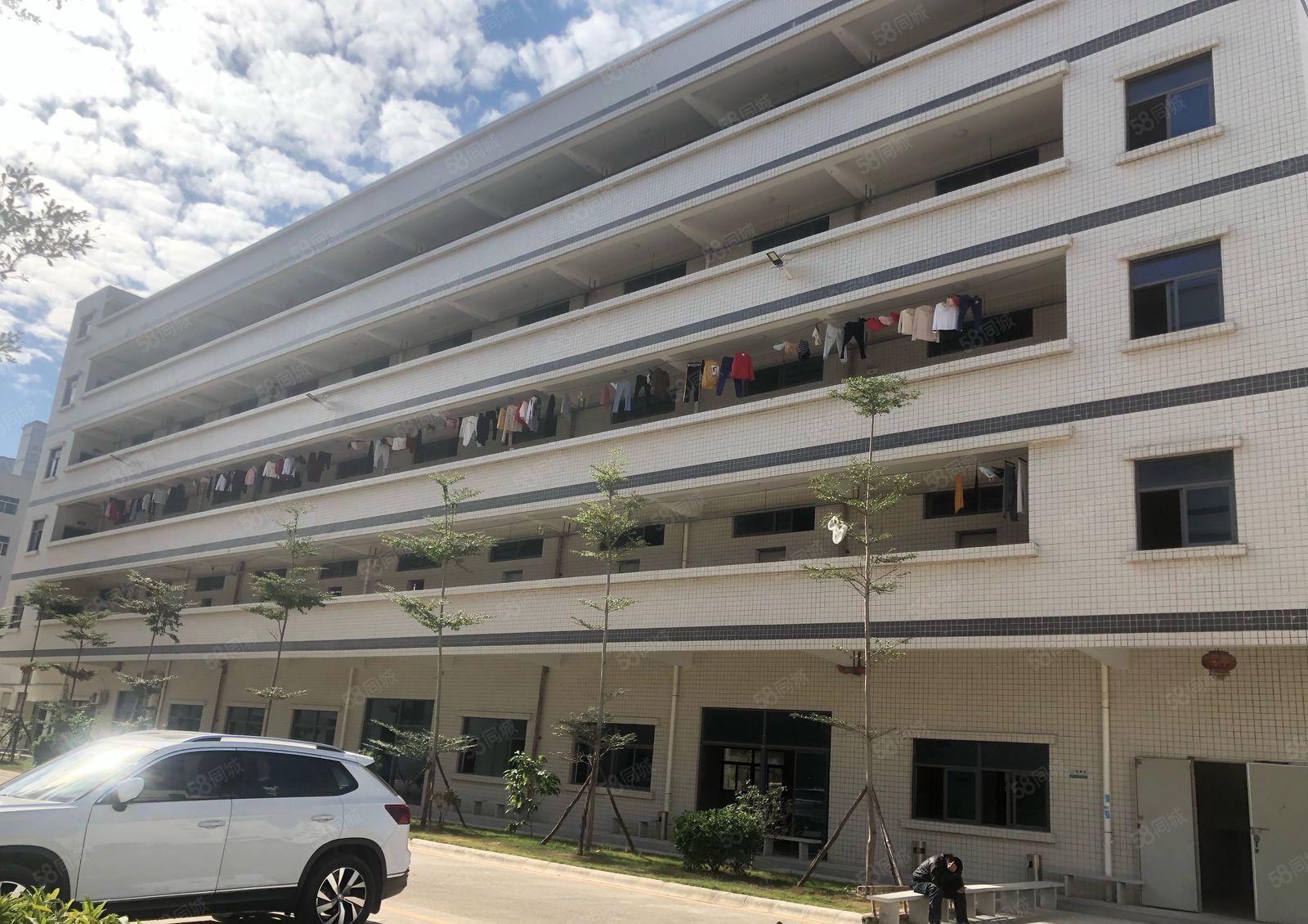 原房东实际面积大亚湾西区标准独栋厂房5层共11750平出租