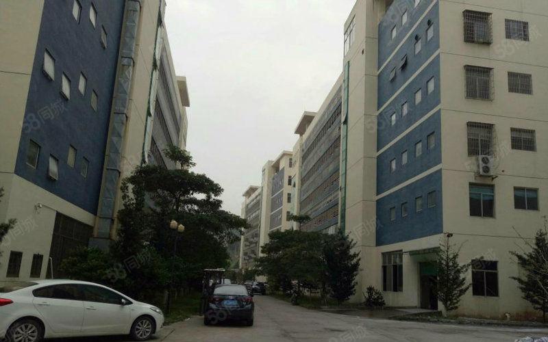 大亚湾西区新出标准厂房16000平大小可分证件齐全