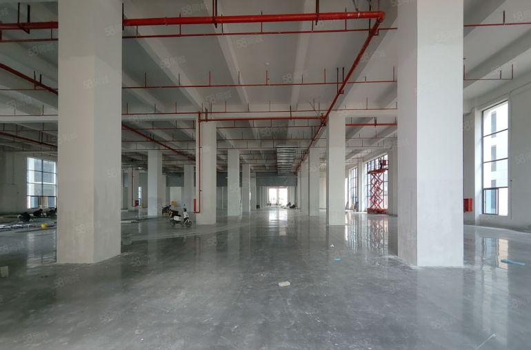 大亚湾临深42000平方全新独院厂房仓库出租大小可分租