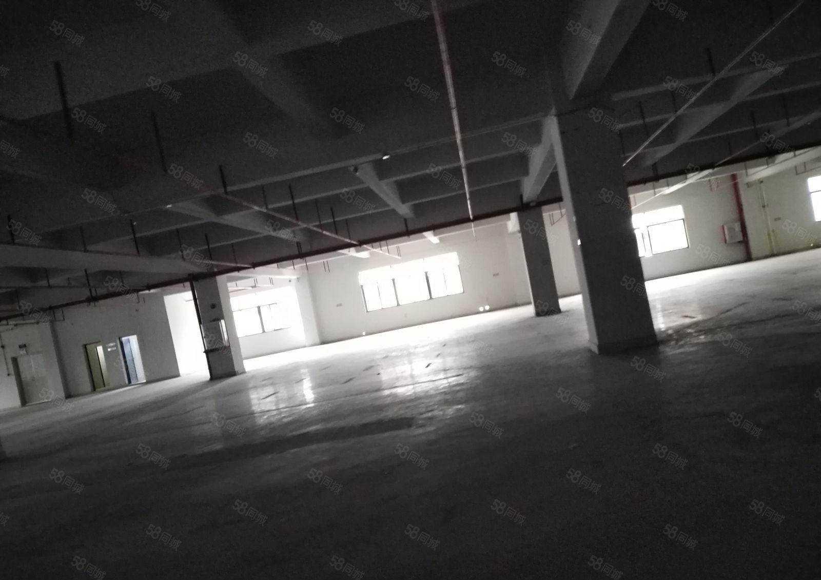 惠阳龙光城临深6500厂房招租（可分租）