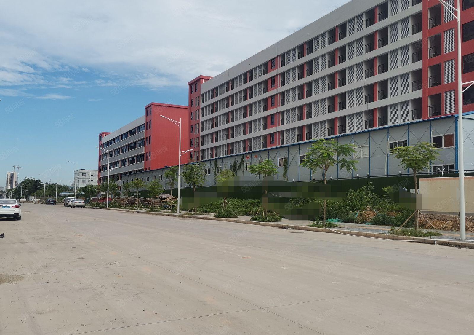 大亚湾原房东89000平米红本独院厂房低价招租