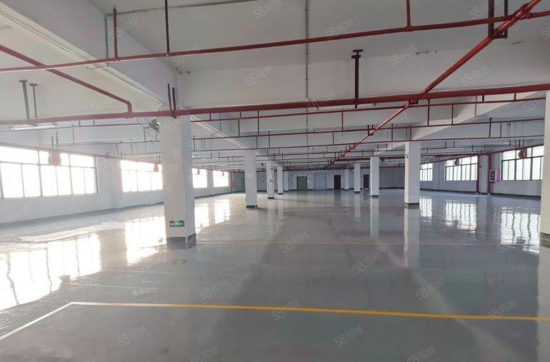 大亚湾全新厂房 大小可分租 包隔墙 园区形象好