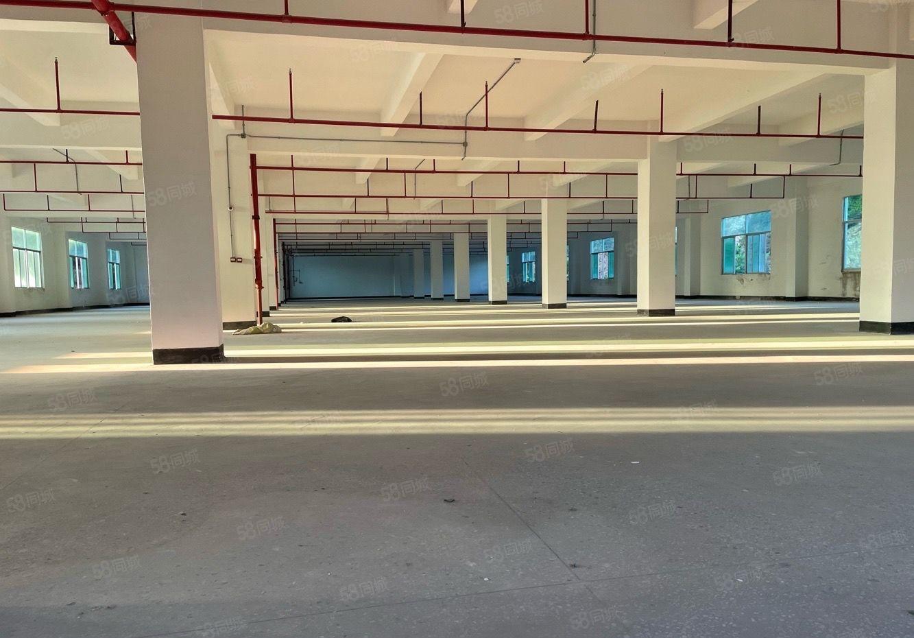 大亚湾塘布1万平独院厂房出租 层高6米 空地4千平 行业不限