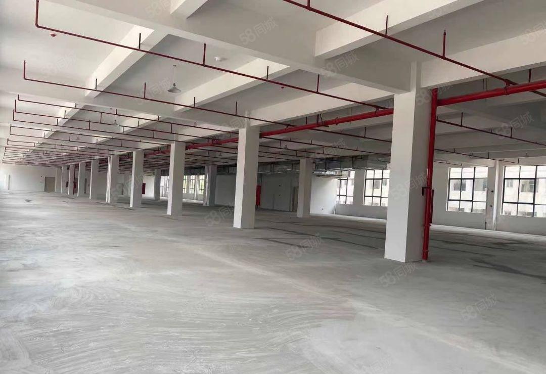 大亚湾一楼和楼上招租形象好空地大免租期长