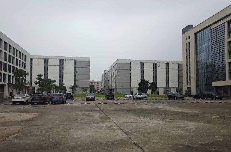 10块大亚湾厂房出租1000平起租原房东红本厂房仓库出租