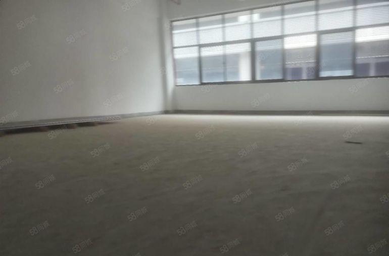 大亚湾临深 全新厂房低价出租 200平起租 空地大 齐全