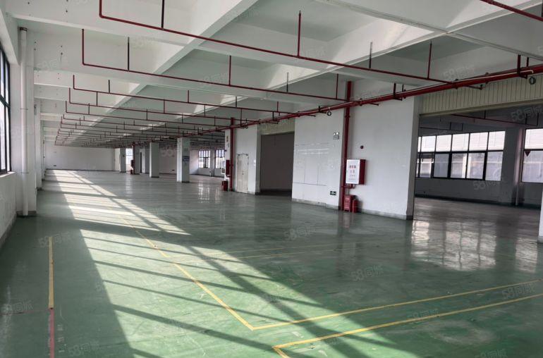 临深片区原房东红本工业厂房8元，不限制行业100平起分