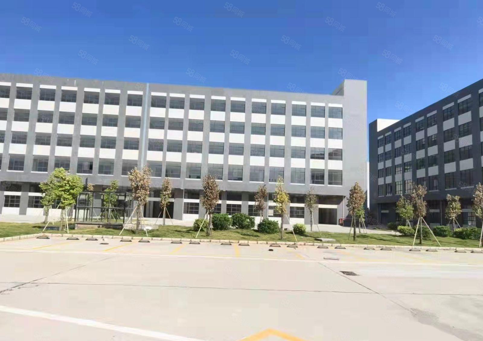大亚湾科技园独栋标准厂房5层共15000平出租可分租空地超大