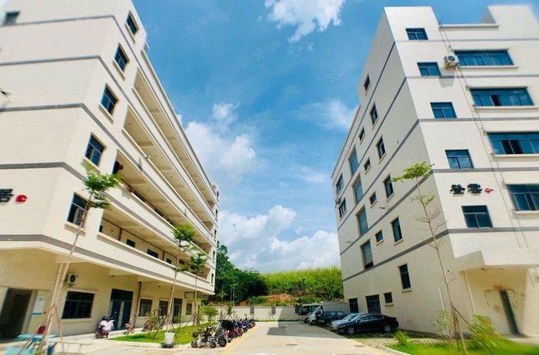 临深9元厂房，1000平精装修，原房东厂房仓库出租，高使用率